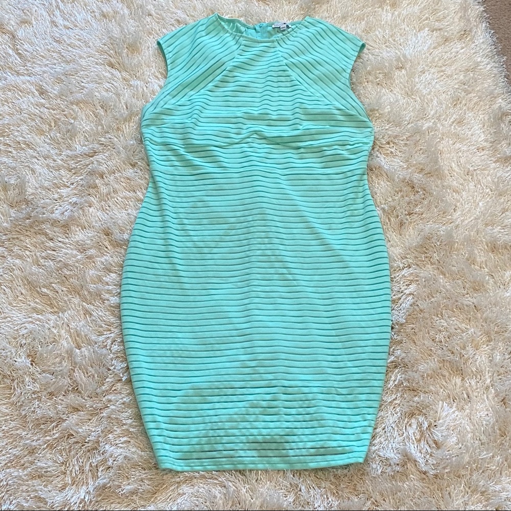 FashionNova Curve Dress